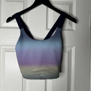 Alo Ombre Dusk Take Charge Sports Bra L